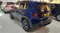 جيب رينيجيد